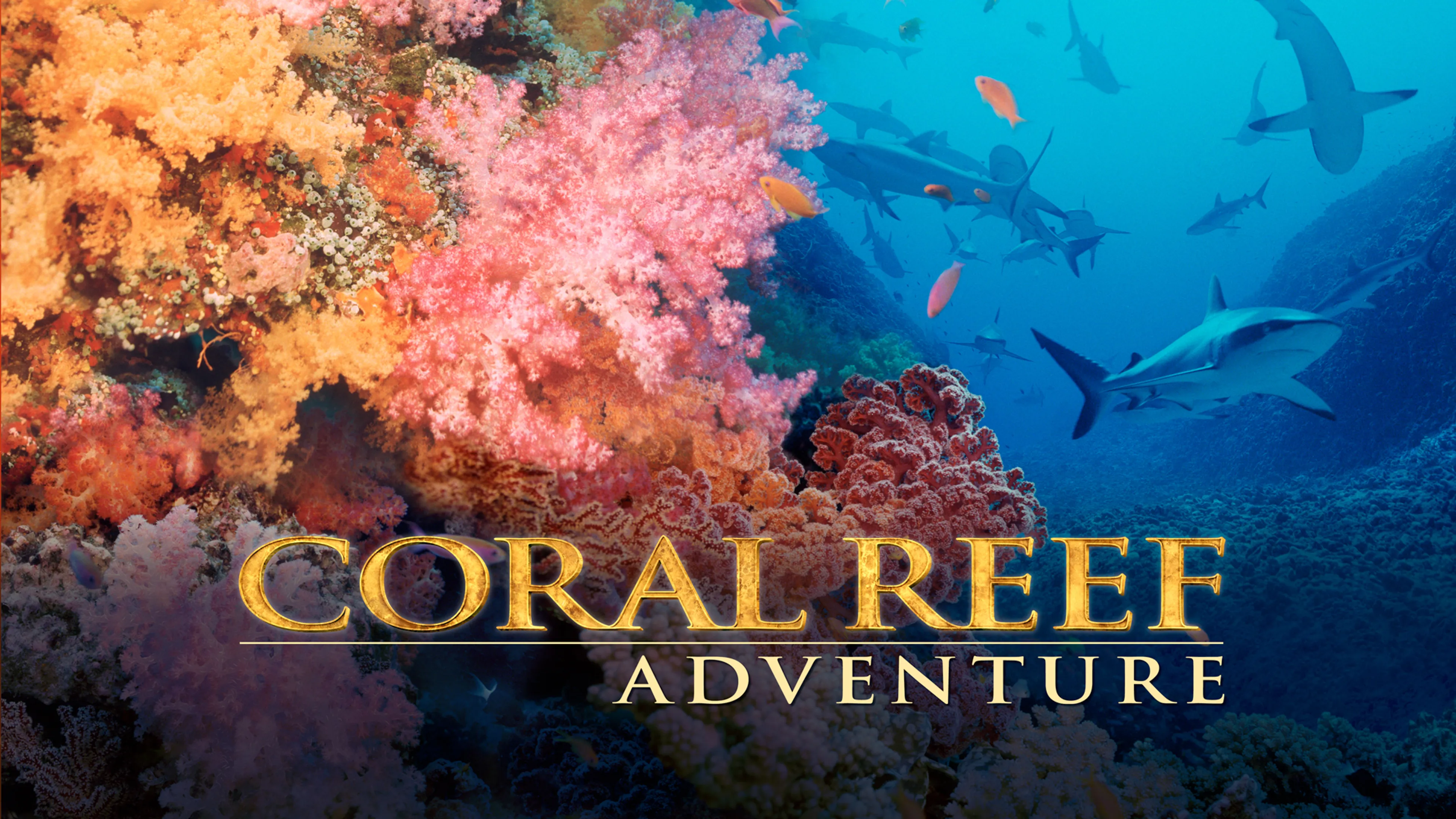Coral Reef Adventure poster
